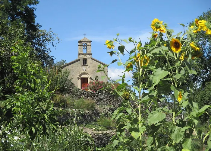 Sole E Ventu 50qm By Interhome Appartement