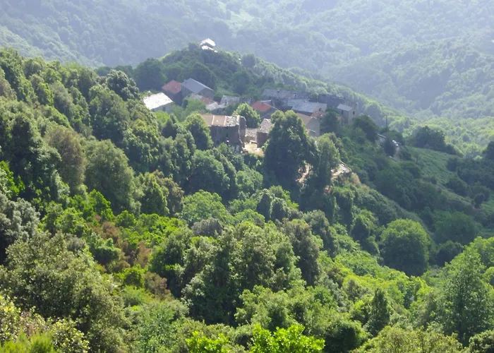 Sole E Ventu 50qm By Interhome Appartement *