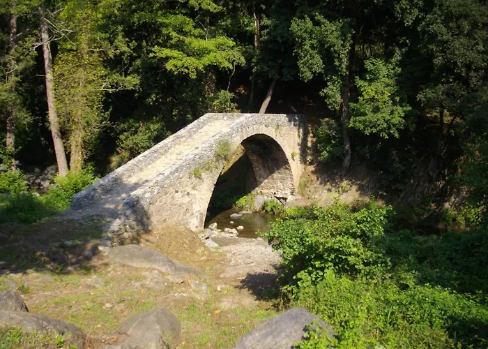 Sole E Ventu 50qm By Interhome * San-Giovanni-di-Moriani