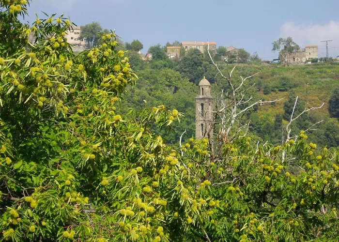 Sole E Ventu 50qm By Interhome Appartement